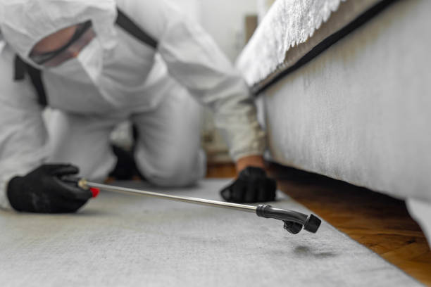 Professional Termite Control technician working in San Martin, CA
