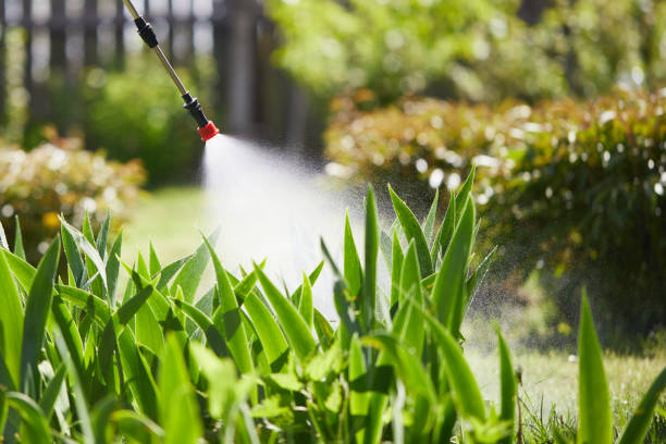 24/7 Emergency Termite Control experts in San Martin, CA
