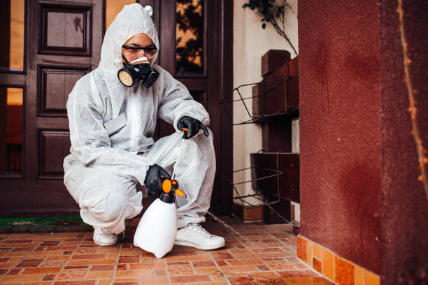 Reliable Termite Control contractor in San Martin, CA by Nex Pest Control